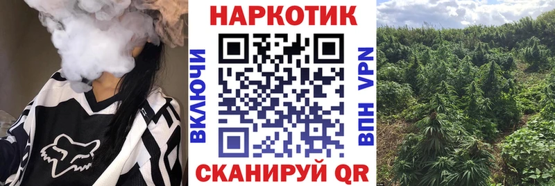 Где купить Бокситогорск Бошки Шишки A-PVP ГАШИШ Меф