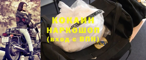 дмт Алзамай