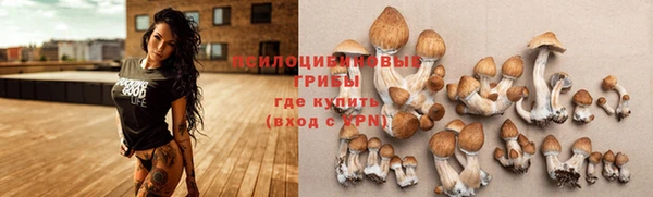 герыч Алексин
