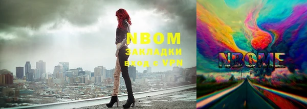 дмт Алзамай