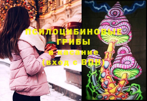 дмт Алзамай