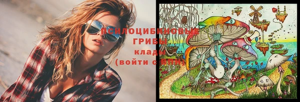 герыч Алексин