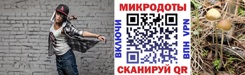 Псилоцибиновые грибы ЛСД  KRAKEN зеркало  Бокситогорск  наркота 